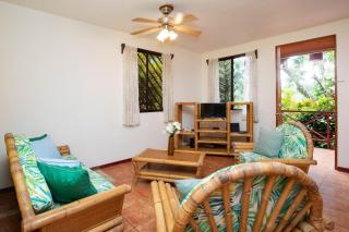 2BR Eco Condo 1 AC 5MINS to Medical Center - Quepos - 2