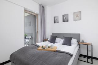 Charming Apartment with Parking in Katowice by Noclegi Renters - 9