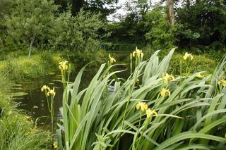 Glascoed Farmhouse Whitland - Whitland - 3