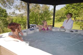 Glascoed Farmhouse Whitland - Whitland - 2