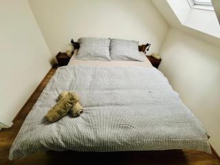 Apartmán Moulis - Abertamy - 7