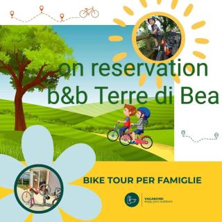 B&B Terre Di Bea - Pederobba - 6