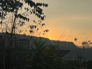 Lâm Khanh Home Bảo Lâm- Nhà gỗ bên rừng thông - 9