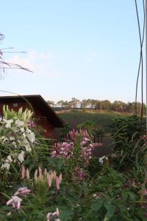 Lâm Khanh Home Bảo Lâm- Nhà gỗ bên rừng thông - 8