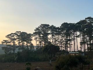 Lâm Khanh Home Bảo Lâm- Nhà gỗ bên rừng thông - 3