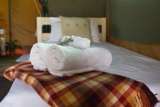 Safari Glamping Portugal - 0