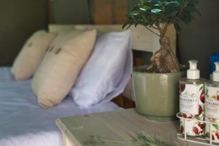 Safari Glamping Portugal - 2