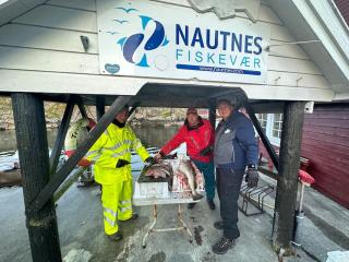 Loft Apartment - Nautnes - 6