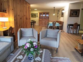 Apartment Apt B 068 by Interhome - Disentis - 8