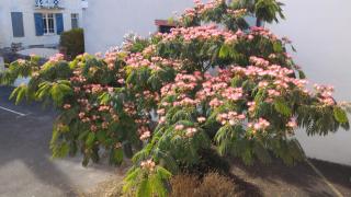 La Baule Plage Benoît - Studio 25m, 4 personnes, Balcon - 2