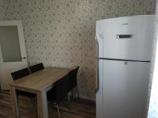 Apartment in Almaty - (( Malaya Stantsiya )) - 6