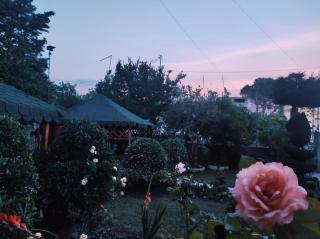 Homestay Beauty Day - Durrës - 3