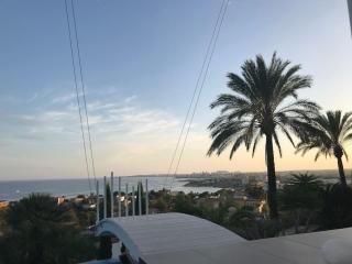 Villa Angela with amazing sea views and private pool! - El Campello - 5