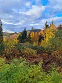 Le Jardin de Chignore - Vollore-Ville - 5