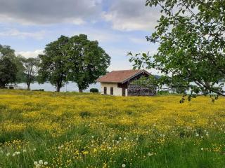 Gästehaus Gartenheim Fam Schäffler - Bad Wiessee - 5