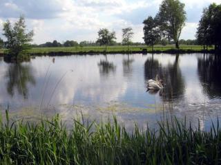 Ferienhof Am Birkensee 55125 - 6