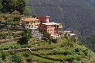 Cà Rosa de Drignana - Vernazza - 6