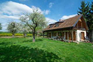 Villa Pod Koniem - Kazimierz Dolny - 5