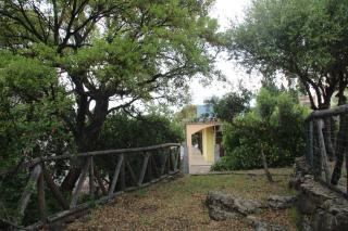 Casa Golloi - Dorgali - 3