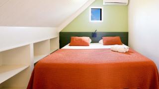 Dream of the Green Flamingo - Willibrordus - 5