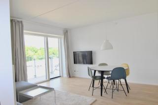 Great 1-bed wbalcony by Odense Harbour - Odense - 3