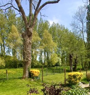 Nature et Moi - Wittes - 2