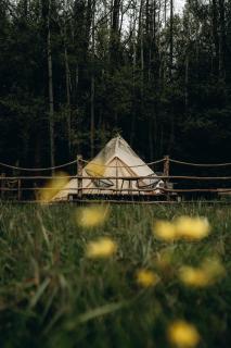 Glamping U Lesa - Rychnov nad Kněžnou - 0