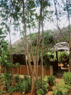 Vineyard Retreat Voi - 7