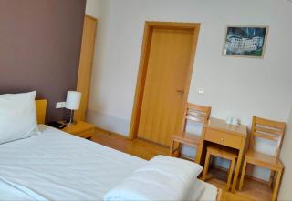 Villa Mari I - Maribor - 1