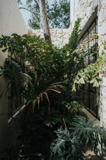 Design Casa Azhar with private Pool - Tulum - 6