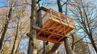 Baumhaushotel Solling - Uslar - 4