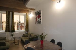 Presqu'ile Saint Nizier coeur de Lyon classé 4* - Lione - 5