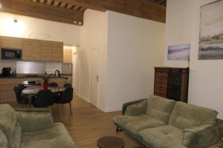 Presqu'ile Saint Nizier coeur de Lyon classé 4* - Lione - 7