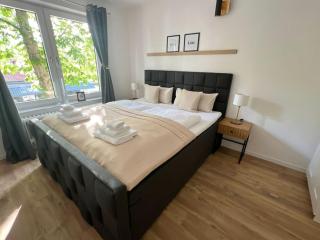1 Zimmer-Apartment im Zentrum - Bad Harzburg - 1