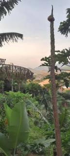 kitnet Bela Vista - 1