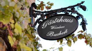 Weingut-Gästehaus Buchert - Neustadt an der Weinstraße - 1