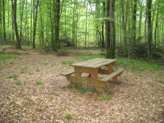 CAMPAGNE et FORET - 7