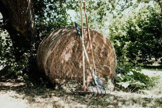 Maison paisible et chaleureuse ds la nature 12 personnes - - 8
