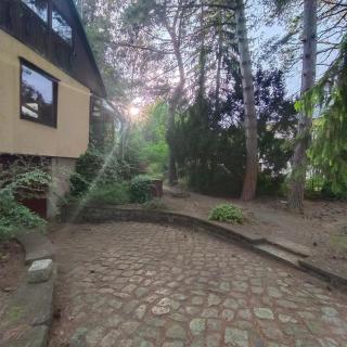 In-the-middle-of-Nature Spacious Nest Brandenburg Airport - 0