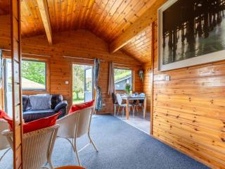 Chalet Lodge 3 - Hot Tub by Interhome - 4