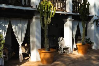 Authentic Finca Ibicenco with Large Pool - Ibiza città - 4