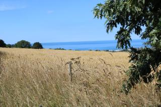 Penlan Coastal Cottages - Cornerstone - 3
