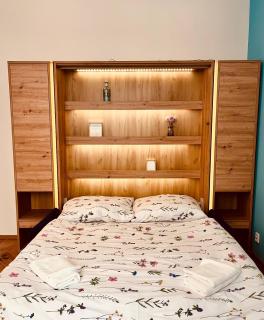Apartmán Na Hluboké v centru Prahy - Praga - 8