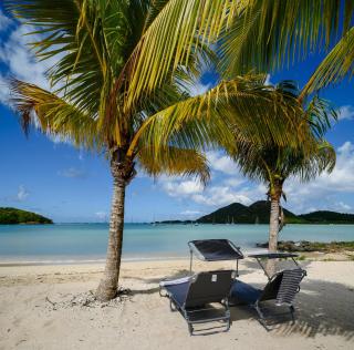 True North Villa - Waterfront on Jolly Harbour - Bolans - 0