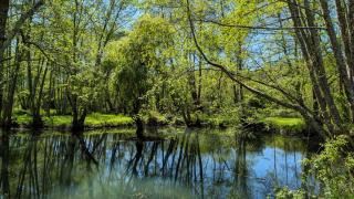 Bonfarto Locations - Urval - 2