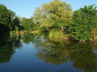 Domaine La Moulinasse - Chassaignes - 4