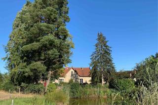 Maison lumineuse et rénovée au cœur du Perche - Malétable - 0