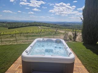 RICASOLI, Capanna di Citerna - Gaiole in Chianti - 3