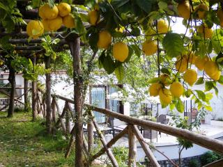 Villa Rafael - A Romantic Gem in Amalfi Coast - Maiori - 9