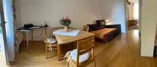 Urban Apartement, Internet, Veranda, Zentrum - Graz - 3